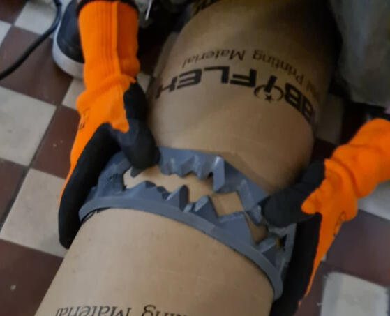 Hajtás